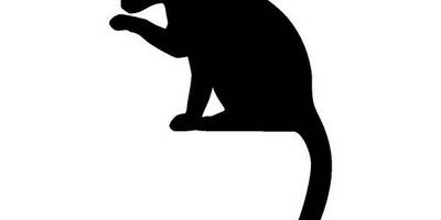 Животные 2269