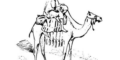 Животные 2600