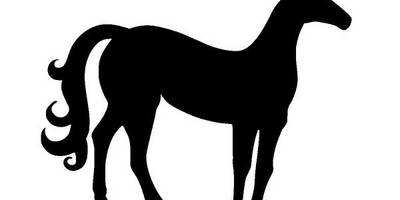 Животные 3570