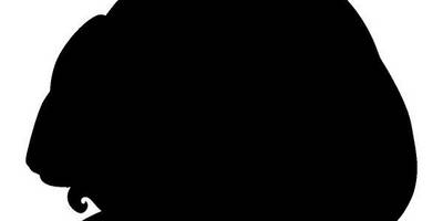 Животные 2212