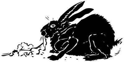 Животные 119