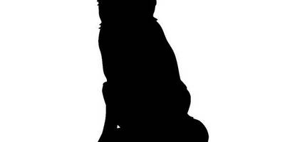 Животные 2192