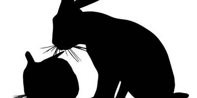 Животные 3935