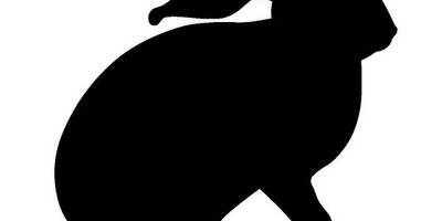 Животные 1478