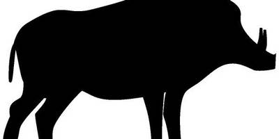 Животные 2415