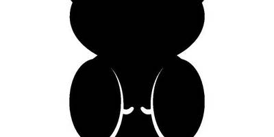 Животные 1544