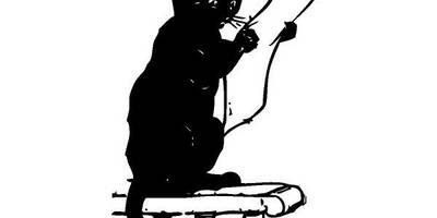 Животные 144