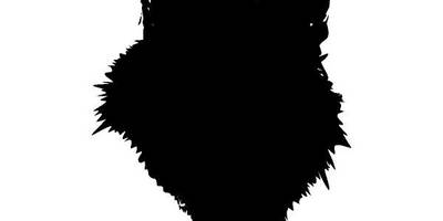 Животные Волк 77