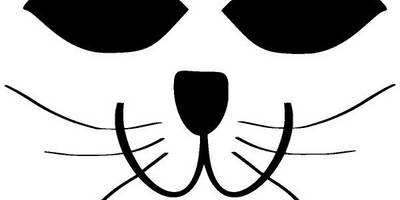 Животные 883