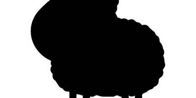 Животные 1909