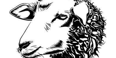 Животные 3341