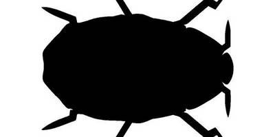 Животные 3064