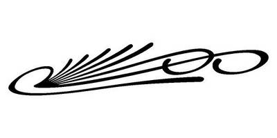 Виниловая наклейка на авто 423