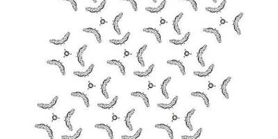 Бесшовный 112