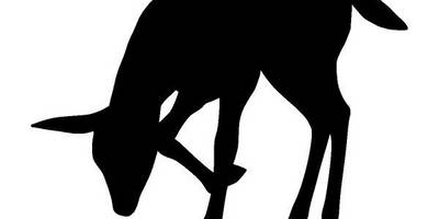 Животные 3500