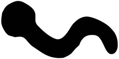 Животные 1170