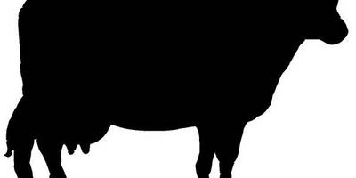 Животные 646