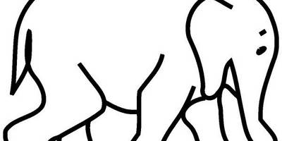 Животные 1950