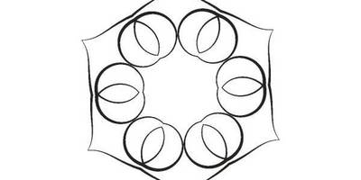 Орнамент цветы 126