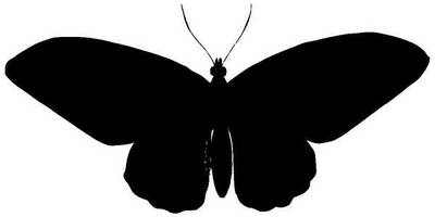 Животные 1141