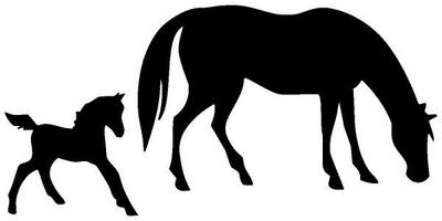 Животные 2019