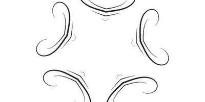 Орнамент цветы 376