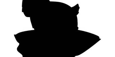 Животные 1033