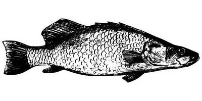 Животные 2680