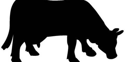 Животные 2276