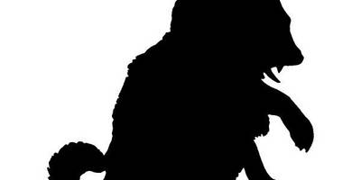 Животные 3423