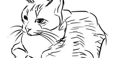 Животные 487