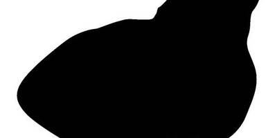 Животные 604