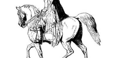 Животные 1039