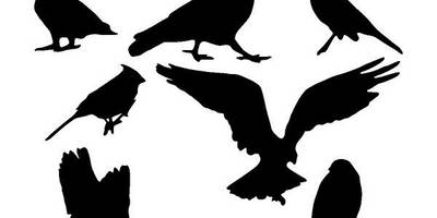 Животные 2710