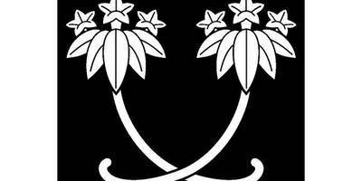 Японский узор 911