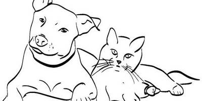 Животные 1152