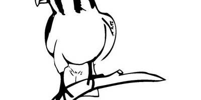 Животные 1429