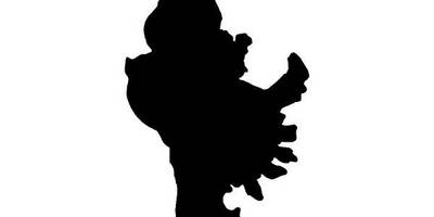 Животные 3904