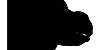 Животные 4172