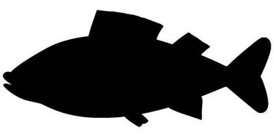 Животные 271