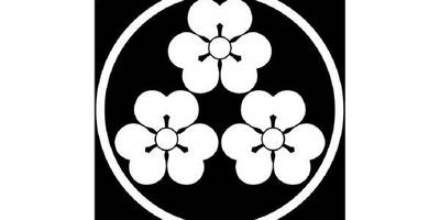 Японский узор 2969