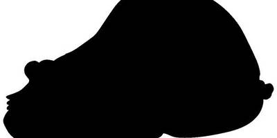 Животные 4030