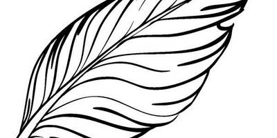 Животные 1164