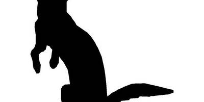 Животные 362