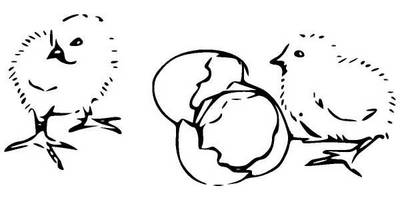 Животные 281