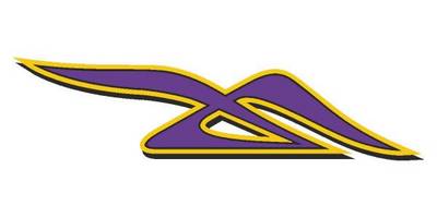 Виниловая наклейка на авто 470