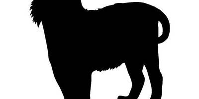 Животные 644