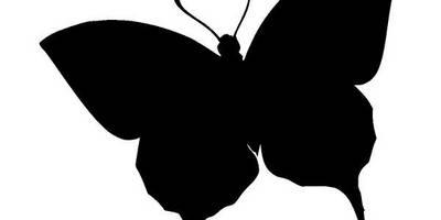 Животные 2954