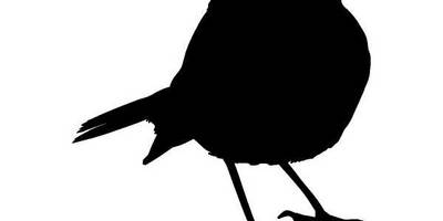 Животные 811