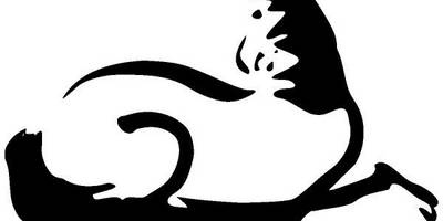 Животные 1608